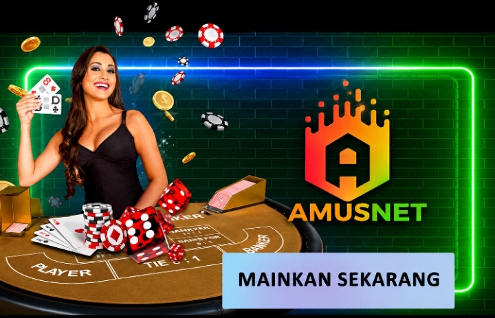 AMUSNET